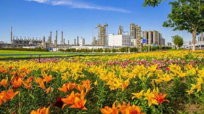 上海化工产品代理，如何选择可靠伙伴？**